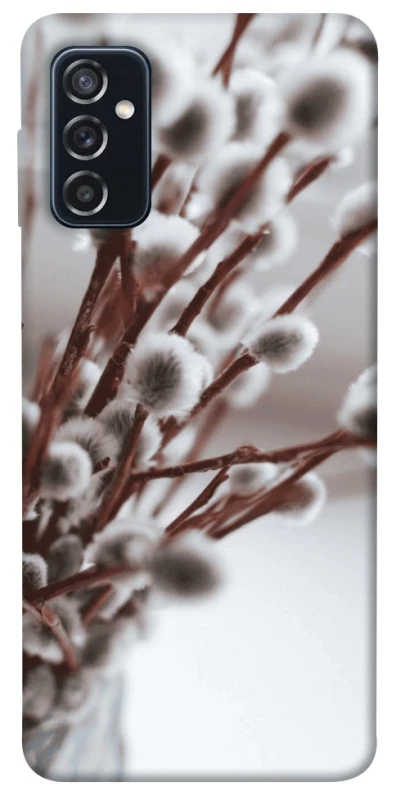 Чохол на Samsung Galaxy M52 Magic фото 1 з 1