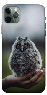 Чохол на Apple iPhone 11 Pro Max (6.5") Совеня фото 1 з 1