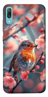 Чехол на Huawei Y6 Pro (2019) Birdie фото 1 из 1