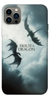 Чехол на Apple iPhone 12 Pro (6.1") House of the Dragon ver.5 фото 1 из 1