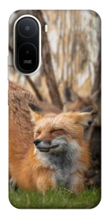 Чохол на Xiaomi Redmi A7 Pro 4G Лисиця фото 1 з 2