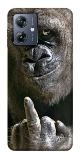 Чохол на Motorola Moto G54 Surprise фото 1 з 1