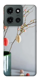 Чехол на Motorola Moto G Power (2025) Chicks фото 1 из 1