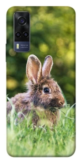 Чехол на Vivo Y53s Кролики фото 1 из 1