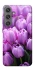 Чехол на Samsung Galaxy S24+ Фиолетовые тюльпаны фото 1 из 1