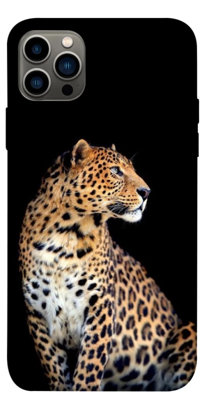 Чохол на Apple iPhone 12 Pro (6.1") Leopard v2 фото 1 з 1