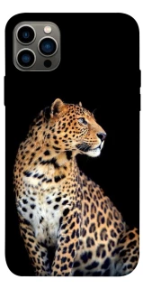 Чохол на Apple iPhone 12 Pro (6.1") Leopard v2 фото 1 з 1