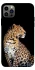 Чохол на Apple iPhone 12 Pro (6.1") Leopard v2 фото 1 з 1