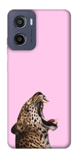 Чехол на Motorola Moto E15 Leopard Meow фото 1 из 1