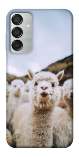 Чохол на Samsung Galaxy M15 5G Лама фото 1 з 1