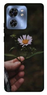 Чехол на Motorola Edge 40 Ромашка v4 фото 1 из 1