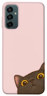 Чохол на Samsung Galaxy M14 5G Peeping cat фото 1 з 1