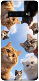 Чехол на Samsung Galaxy S10 Cats фото 1 из 1