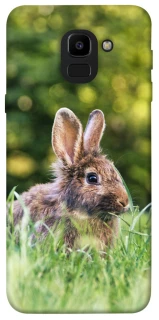 Чехол на Samsung J600F Galaxy J6 (2018) Кролики фото 1 из 1
