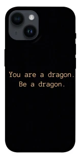 Чехол на Apple iPhone 14 (6.1") House of the Dragon ver.9 фото 1 из 1