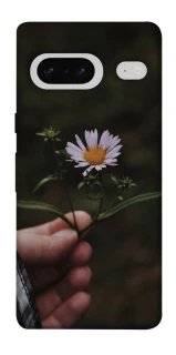 Чехол на Google Pixel 7 Ромашка v4 фото 1 из 1