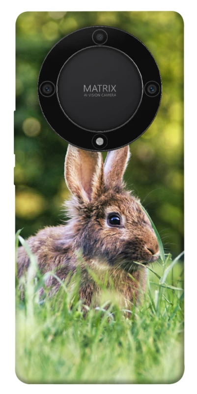 Чохол на Huawei Magic5 Lite Кролики фото 1 з 1
