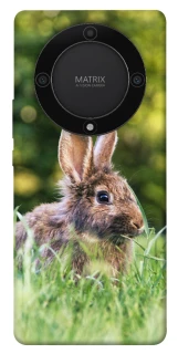 Чохол на Huawei Magic5 Lite Кролики фото 1 з 1