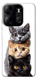 Чохол на Tecno Spark Go 2023 Гарні котики фото 1 з 1