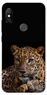 Чехол на Xiaomi Redmi Note 6 Pro Leopard v4 фото 1 из 1