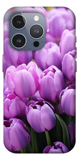Чехол на Apple iPhone 16 Pro Max Фиолетовые тюльпаны фото 1 из 1