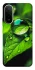 Чохол на Xiaomi Redmi A7 Pro 4G Flowers v16 фото 1 з 2