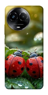 Чохол на Realme C67 4G Flowers v23 фото 1 з 1