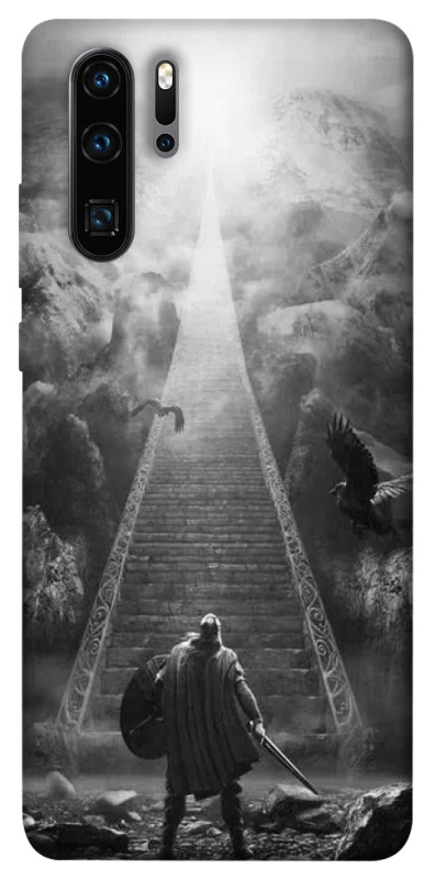 Чохол на Huawei P30 Pro Valhalla фото 1 з 1