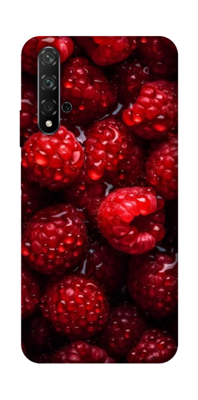 Чехол на Huawei Honor 20 / Nova 5T Малинка фото 1 из 1