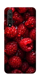 Чохол на Huawei Honor 20 / Nova 5T Малинка фото 1 з 1