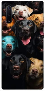 Чехол на Samsung Galaxy Note 10 Plus Собаки фото 1 из 1