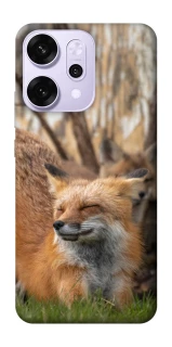 Чехол на Oppo Reno 14 Pro Лиса фото 1 из 1