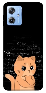 Чохол на Motorola Moto G84 Smart cat фото 1 з 1