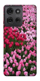 Чехол на Motorola Moto G75 Flowers v9 фото 1 из 1
