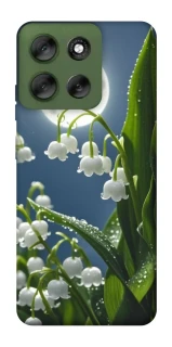 Чохол на Motorola Moto G56 5G Flowers v25 фото 1 з 1