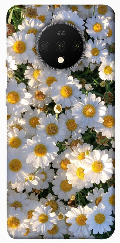 Чехол на OnePlus 7T Поле ромашек фото 1 из 1