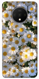 Чехол на OnePlus 7T Поле ромашек фото 1 из 1
