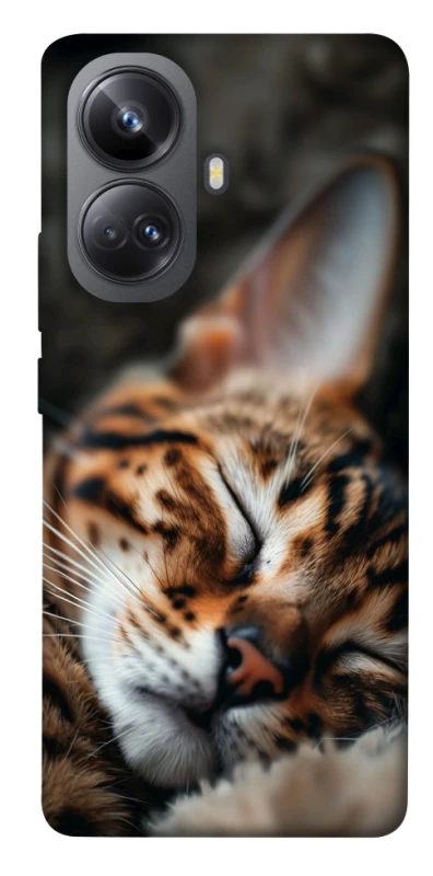 Чохол на Realme 10 Pro+ Cat paws фото 1 з 1