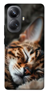 Чохол на Realme 10 Pro+ Cat paws фото 1 з 1
