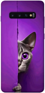 Чохол на Samsung Galaxy S10+ Кіт-підглядач фото 1 з 1