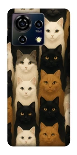 Чехол на ZTE Blade V50 Vita Colorful Cat Collage фото 1 Чехол на ZTE Blade V50 Vita Colorful Cat Collage фото 1 из 1
