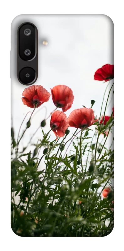 Чохол на Samsung Galaxy M16 5G Поле маків фото 1 з 1
