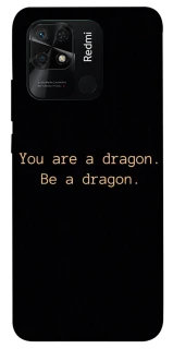 Чохол на Xiaomi Redmi 10C House of the Dragon ver.9 фото 1 з 1