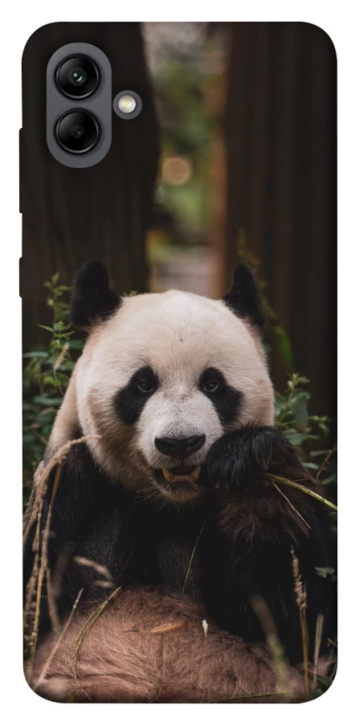 Чохол на Samsung Galaxy A04 Панда фото 1 з 1