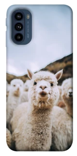 Чохол на Motorola Moto G41 Лама фото 1 з 1