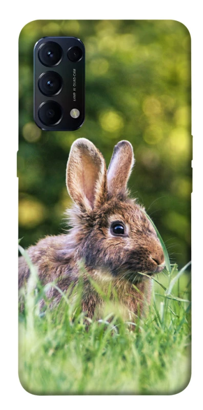 Чохол на Oppo Reno 5 4G Кролики фото 1 з 1