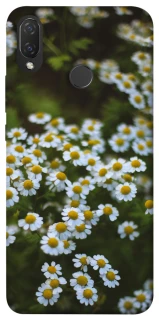 Чохол на Huawei P Smart+ (nova 3i) Ромашки v13 фото 1 з 1