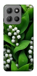 Чохол на Motorola Moto G15 Power Flowers v24 фото 1 з 1