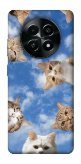 Чохол на Realme Narzo 70x Сats фото 1 з 1