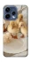Чехол на Oppo Reno 15 Easter Vibes фото 2 из 2